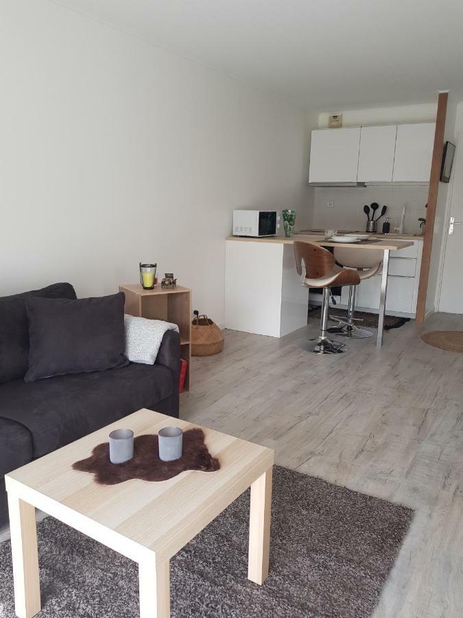 Laurier Apartment ตูลูส ภายนอก รูปภาพ